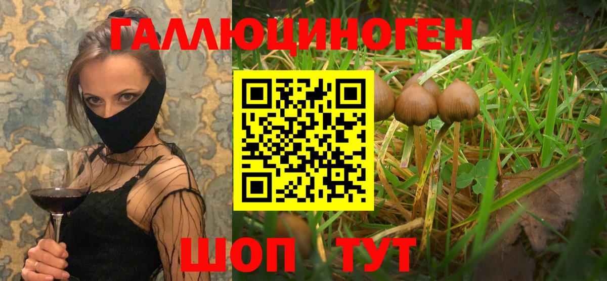 Псилоцибиновые грибы Psilocybe  магазин продажи наркотиков  Сергиев Посад  Вход с VPN 